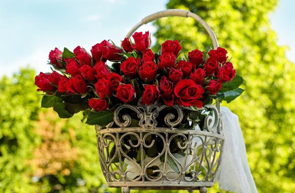 Qué significa soñar que te regalan flores rojas alguien que ya falleció