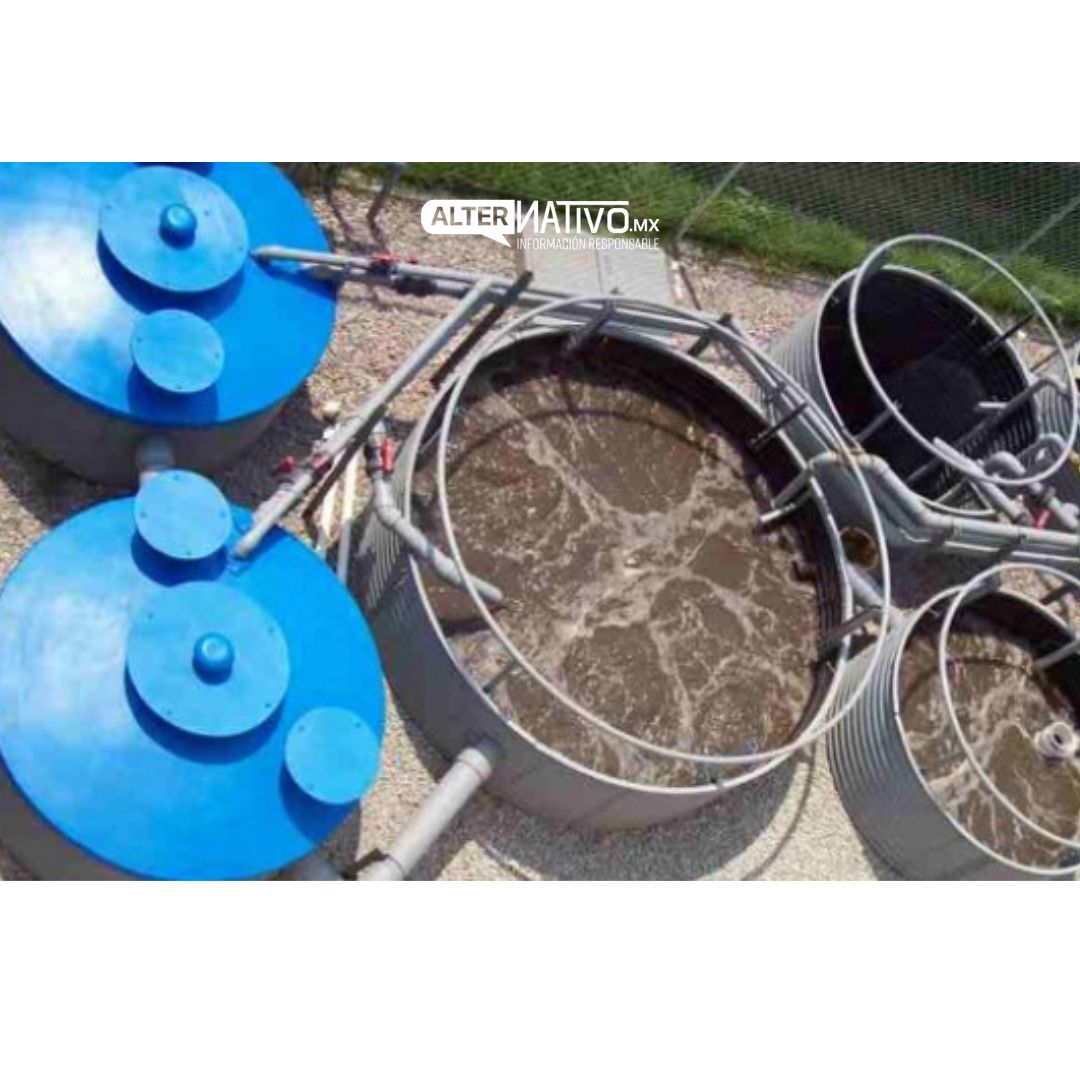 Sistemas Ecológicos