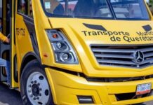 Municipio de Querétaro pondrá transporte gratuito para Festival de Comunidades Extranjeras