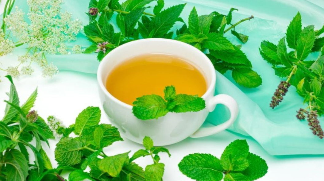 Grandes Beneficios de Tomar Té de Verbena