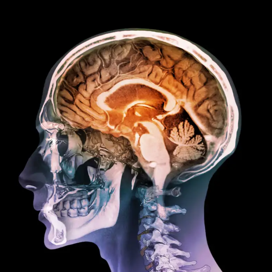 ¿Por qué Ocurre? La Ciencia vs. las Teorías Alternativas