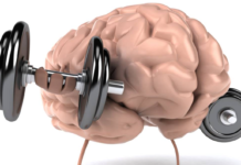 ¿Cómo funciona la memoria muscular y cuánto tarda en formarse? La ciencia detrás de por qué tu cuerpo nunca olvida ¿Cómo funciona la memoria muscular y cuánto tarda en formarse? La ciencia detrás de por qué tu cuerpo nunca olvida