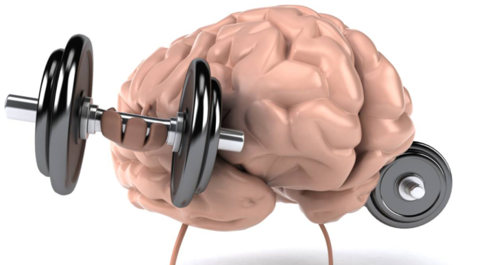 ¿Cómo funciona la memoria muscular y cuánto tarda en formarse? La ciencia detrás de por qué tu cuerpo nunca olvida