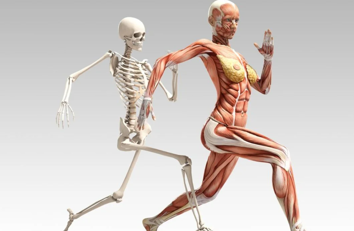 Tu Cuerpo es un Archivo Inteligente