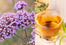 ¿Para qué sirve la planta de verbena y cómo prepararla en té? ¿Para qué sirve la planta de verbena y cómo prepararla en té?