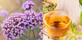 ¿Para qué sirve la planta de verbena y cómo prepararla en té?