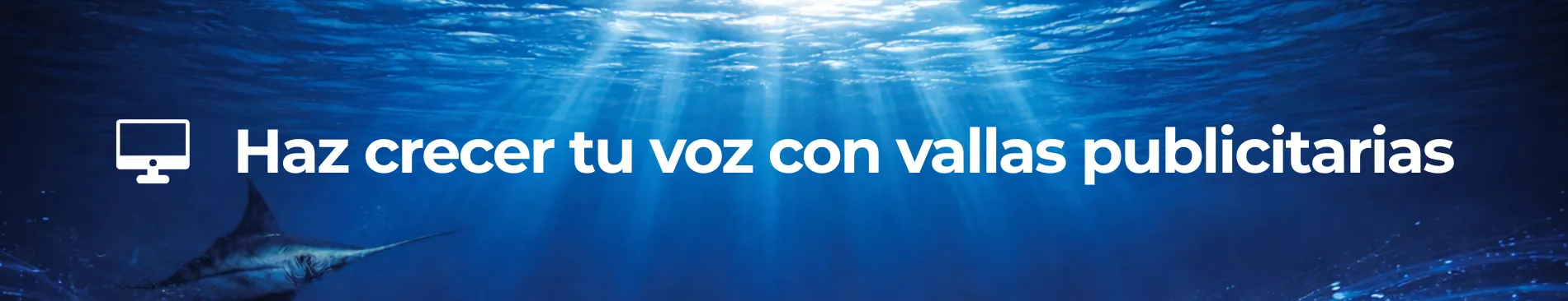 Ver Medios Publicitarios