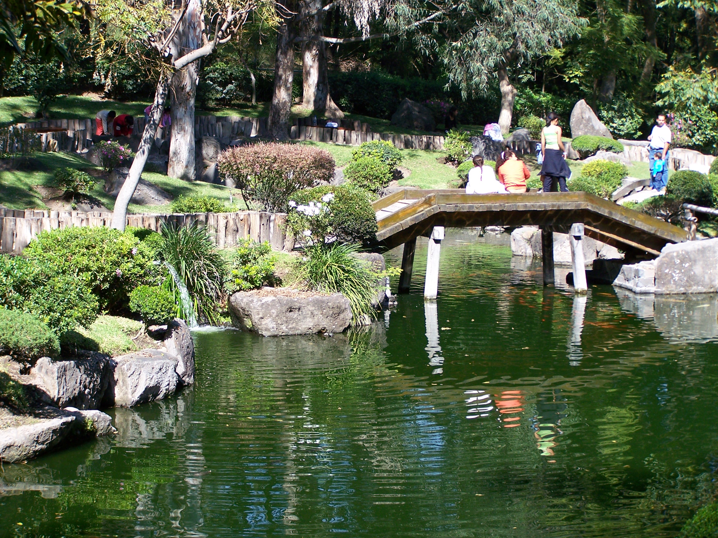 Jardín japonés del Bosque Los Colomos en Guadalajara con puente rojo sobre lago de carpas koi y vegetación exuberante