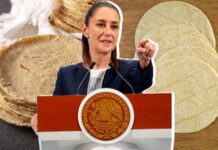 Tortilla sube de precio en Abril 2026: Todo lo que debes saber para proteger tu bolsillo Tortilla Sube de Precio en Abril 2026- Todo lo que Debes Saber para Proteger tu Bolsillo