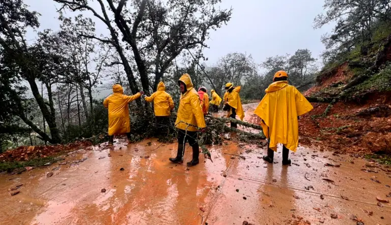 Querétaro espera hasta 36 sistemas tropicales: Protección Civil