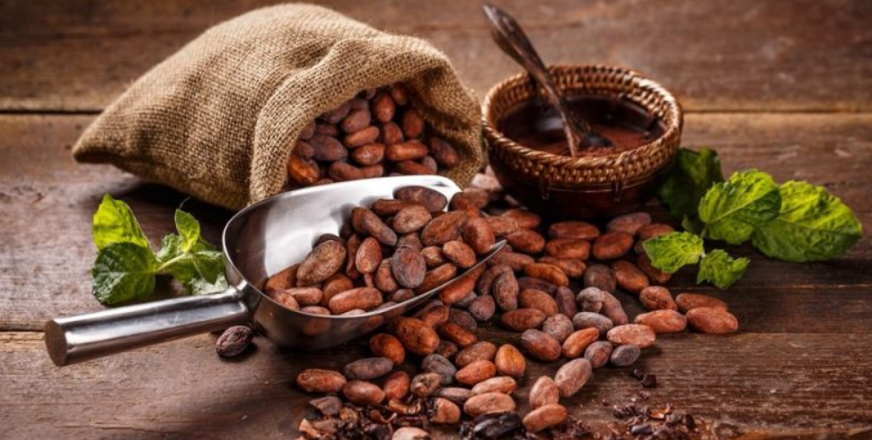 Cacao