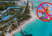 Semarnat cierra la puerta a Royal Caribbean: Cómo el megaproyecto “Perfect Day” en Mahahual fue frenado por la presión ciudadana Semarnat cierra la puerta a Royal Caribbean: Cómo el megaproyecto "Perfect Day" en Mahahual fue frenado por la presión ciudadana