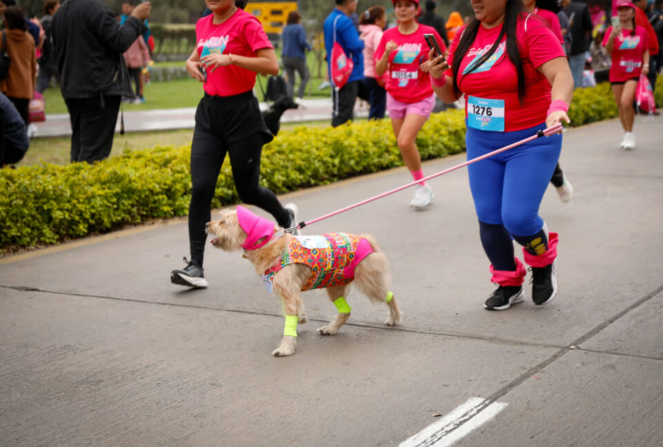 Entrega de Kits del Barbie Run 2026 CDMX: Fecha, Lugar y Requisitos
