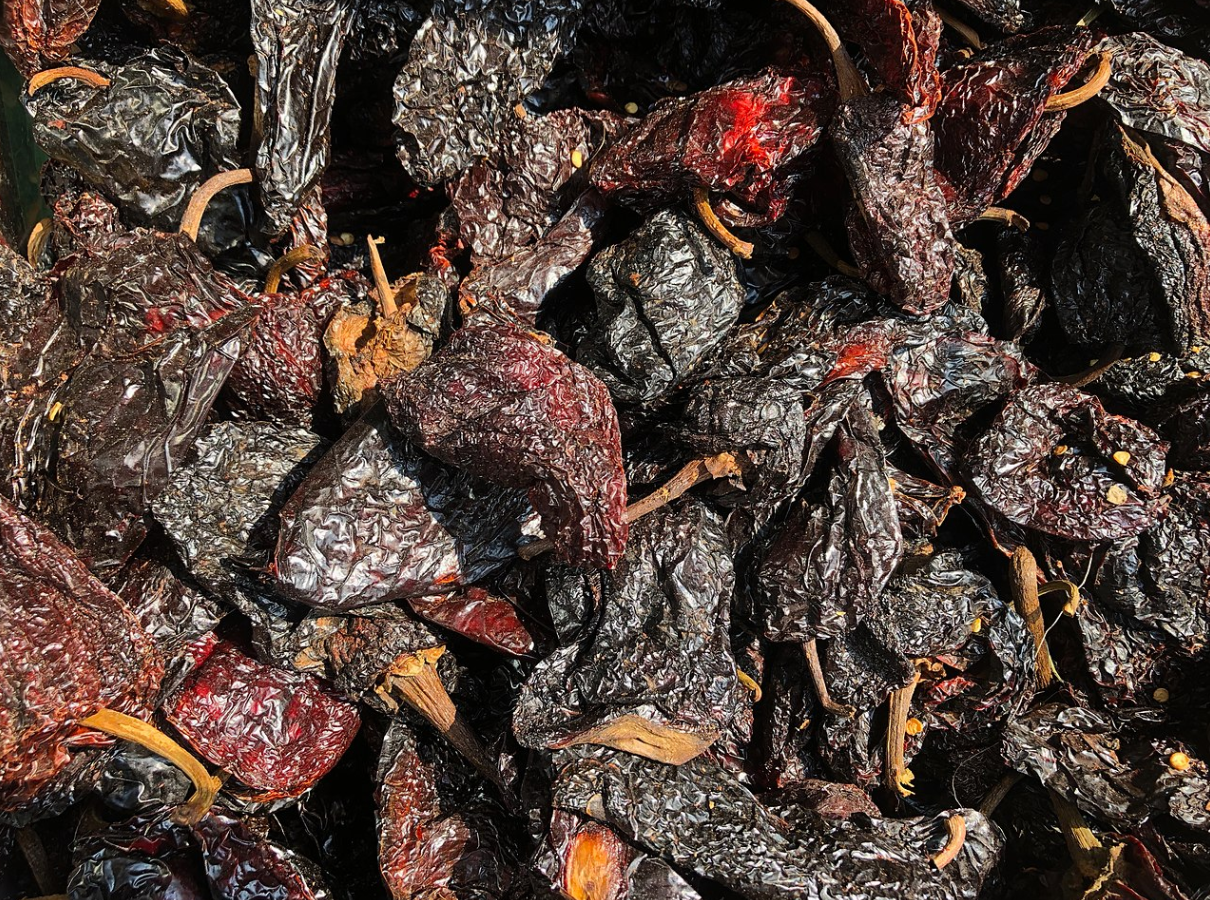 Chile morita