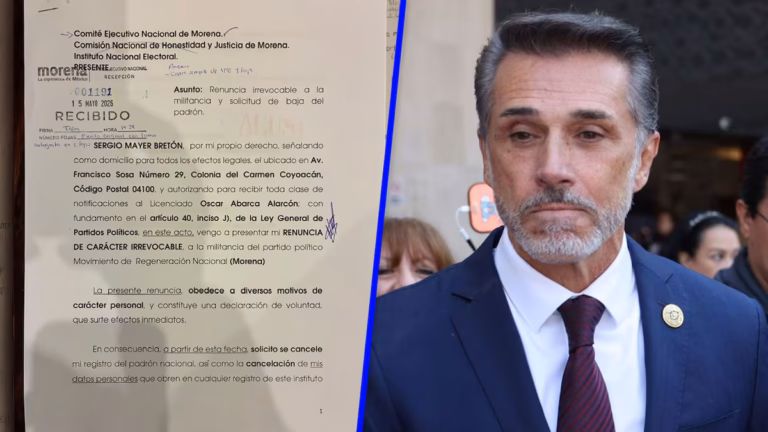 Sergio Mayer renuncia a Morena