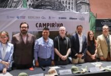 Campirino, un laberinto monumental de maíz en Huimilpan Campirino
