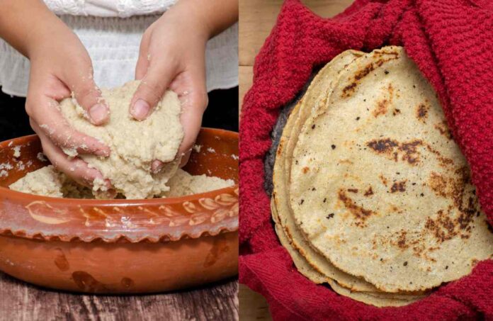 Cómo hacer tortillas de maíz hechas a mano Cómo hacer tortillas de maíz hechas a mano