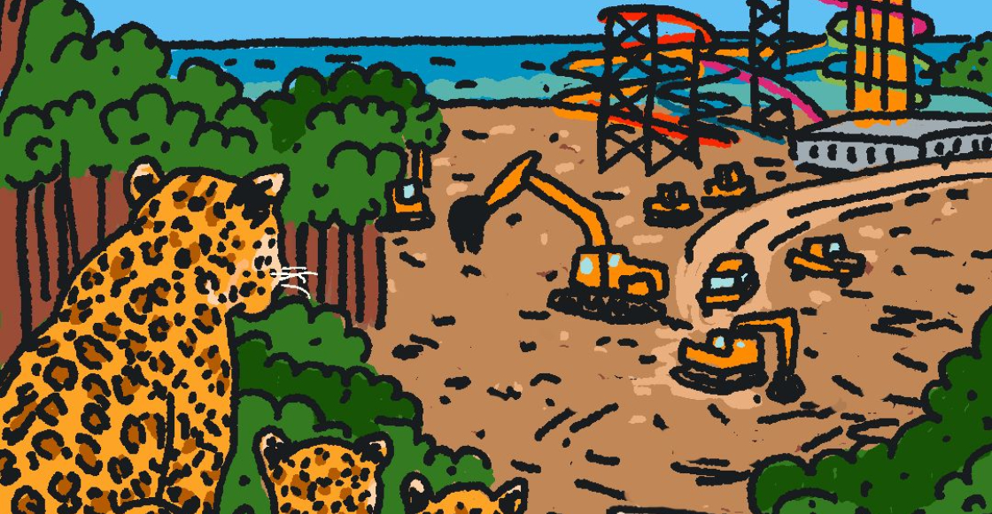 Las Alarmas Ambientales: ¿Por qué Mahahual estaba en peligro?