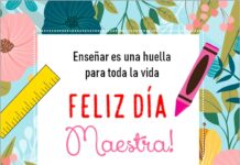 Día del Maestro 2026: 50 frases cortas para WhatsApp (emotivas y divertidas) Día del Maestro 2026: 50 frases cortas para WhatsApp (emotivas y divertidas)