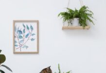 Plantas tóxicas para gatos comunes en hogares mexicanos plantas tóxicas gatos México