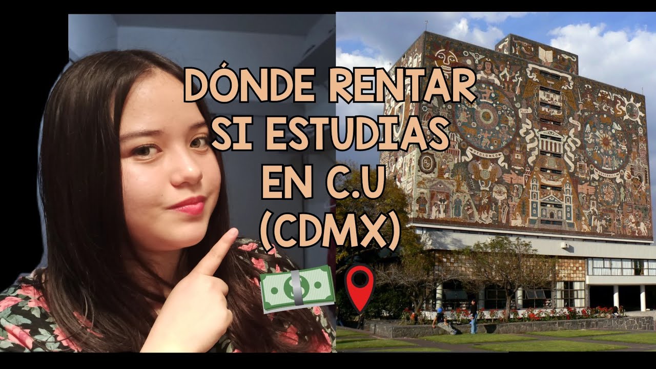 Joven estudiante universitario revisando opciones de departamentos en renta en su laptop en la Ciudad de México.
