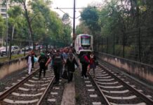 Tren Ligero de la Ciudad de México falla Tren Ligero