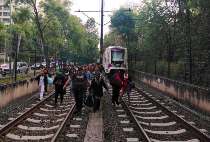 Tren Ligero