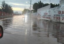 Encharcamientos, caída de árbol, ingreso de agua en viviendas y más dejó la lluvia en Qro.