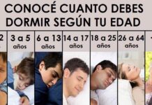 ¿Cuántas horas debes dormir según tu edad para sentirte bien? La ciencia del descanso y la inmunidad ¿Cuántas horas debes dormir según tu edad para sentirte bien? La ciencia del descanso y la inmunidad