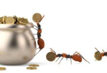Los gastos hormiga que te están vaciando la cartera sin darte cuenta: Guía para recuperar el control del dinero Los gastos hormiga que te están vaciando la cartera sin darte cuenta: Guía para recuperar el control del dinero
