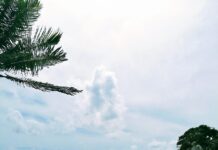 Tulum en 2026: guía para visitar el centro, los cenotes y la playa sin gastar de más Calle del centro de Tulum, Pueblo Mágico de Quintana Roo